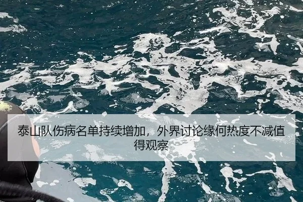 tai-shan-dui-shang-bing-ming-dan-chi-xu-zeng-jia-wai-jie-tao-lun-yuan-he-re-du-bu-jian-zhi-de-guan-cha-2-973.jpg